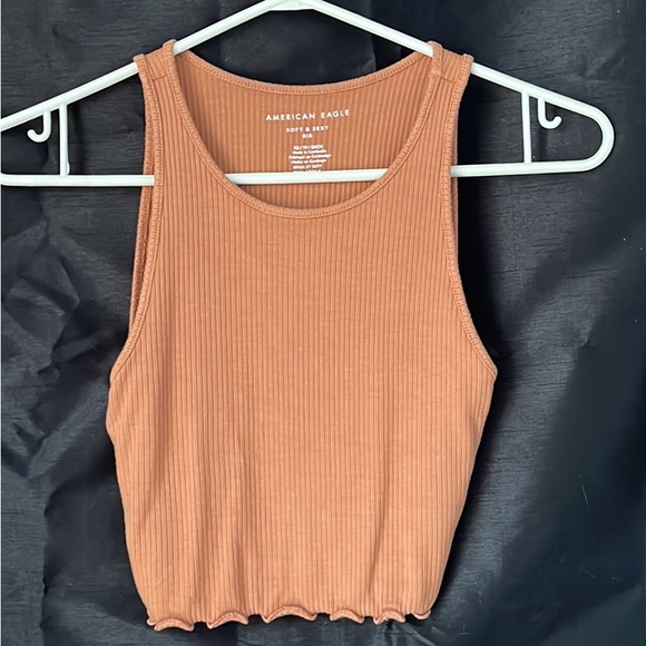 Beautiful American Eagle crop top - Picture 1 of 1